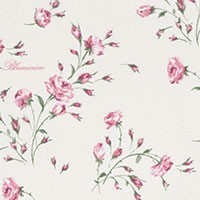 rosa 2