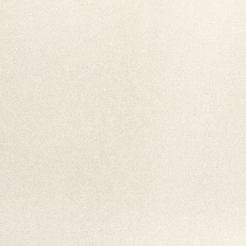 avorio 